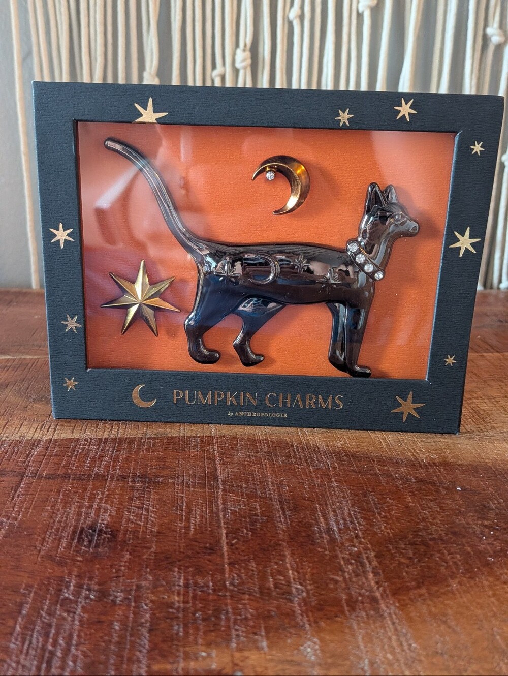 Anthropologie Halloween Black Cat Star Moon Pumpkin Pin Charms Decor NWT
